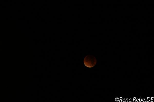 Berlin 2015 Lunar eclipse IMG_8742