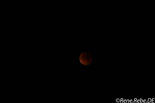 Berlin 2015 Lunar eclipse IMG_8769