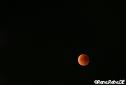 Berlin 2015 Lunar eclipse IMG_8790