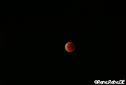 Berlin 2015 Lunar eclipse IMG_8792