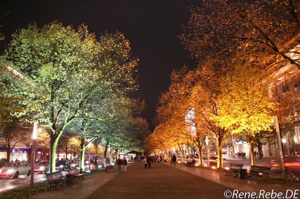 Berlin 2008 Festival of Lights Img_2735