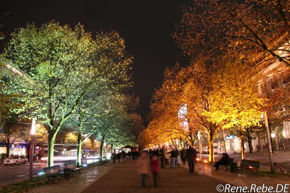 Berlin 2008 Festival of Lights Img_2738