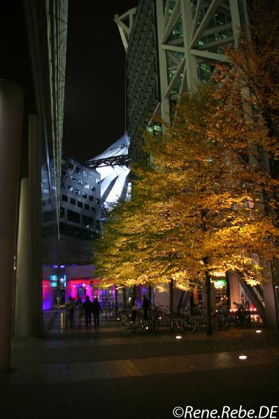 Berlin 2008 Festival of Lights Img_2808