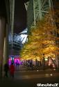 Berlin 2008 Festival of Lights Img_2809