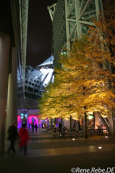 Berlin 2008 Festival of Lights Img_2809