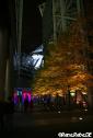 Berlin 2008 Festival of Lights Img_2810